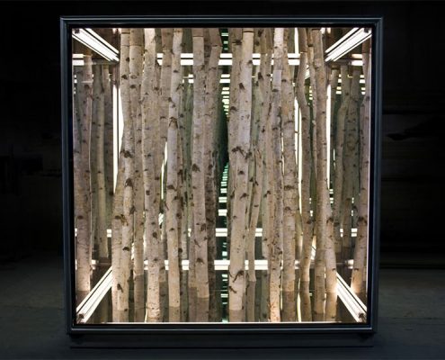 Anthony James, Birch Box. Photo Credit: Brand New Gallery